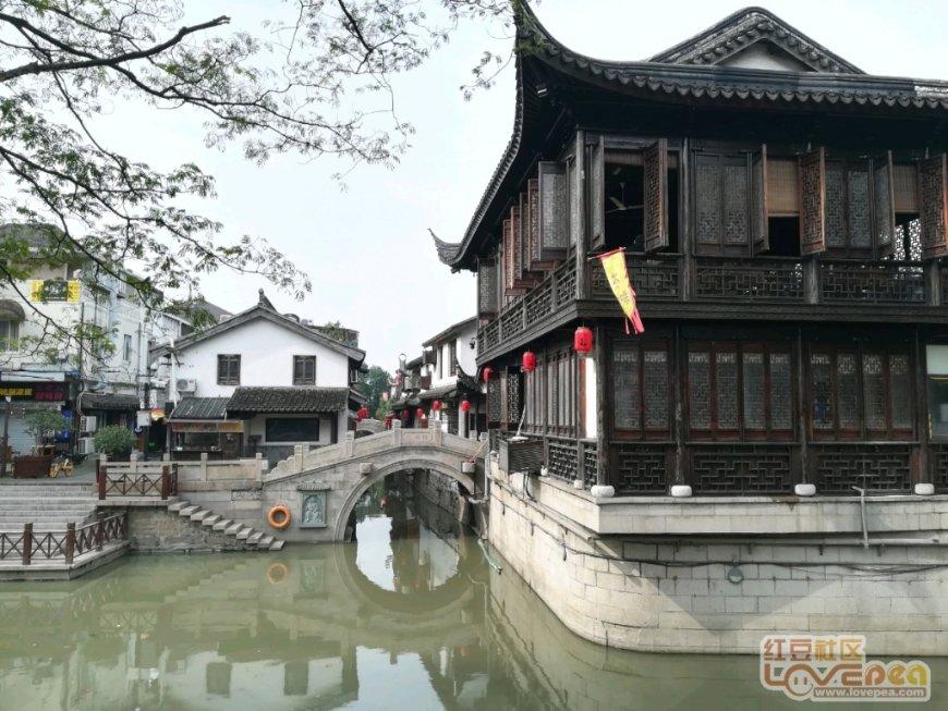 徐志摩死后,陆小曼陷入绝境,胡适提出三个条件要养她,为何被拒